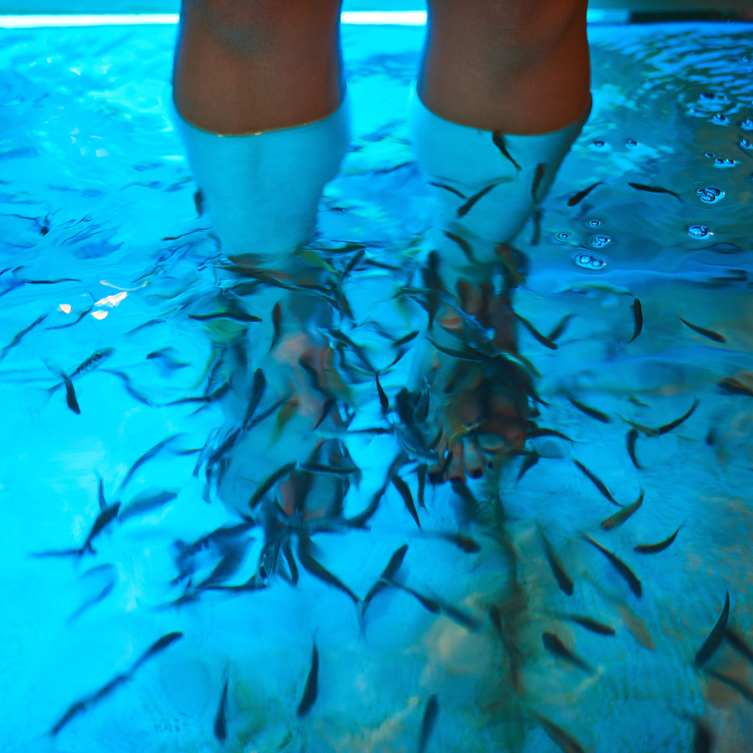 Fish Spa: Wellness oder Gesundheitsrisiko? – Ron Perduss